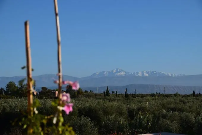 Villa Sbaa Marrakech Marrakesh